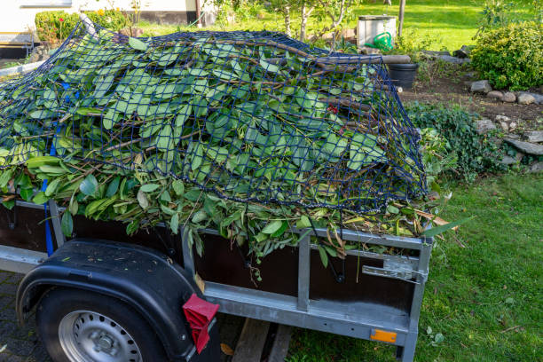 Junk Removal for Events in Black Forest, CO